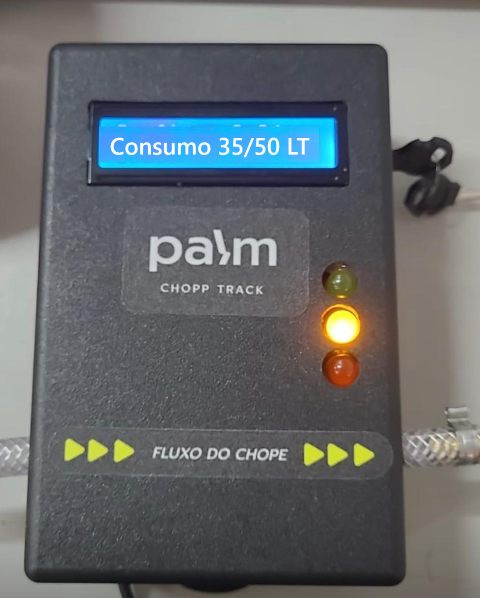 Palm Track